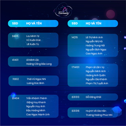 Nhóm học sinh Lê Minh Lộc và Hoàng Công Bảo Long lớp 11A5 trường THPT chuyên Lê Quý Đôn lọt vào vòng chung kết